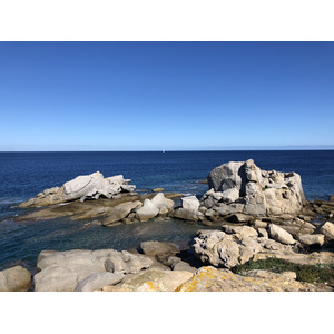 照片 法国(France) 科西嘉岛(Corsica) 卡尔维(Calvi) 2020-10 5