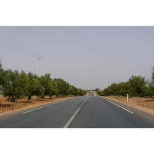 照片 摩洛哥(Morocco) 非斯至拉巴特公路(Fes to Rabat Road) 2008-07 29