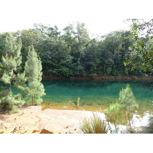 照片 新喀里多尼亚(New Caledonia) 蓝河公园(Parc de la Riviere Bleue) 2010-05 161