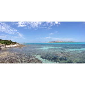 照片 意大利(Italy) 撒丁岛(Sardinia) 猎鹰角(Capo del Falcone) 2015-06 65