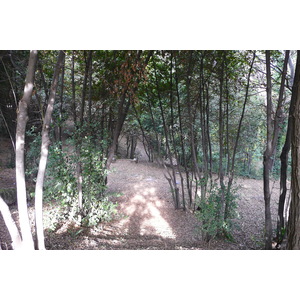 照片 意大利(Italy) 罗马(Rome) 夏拉别墅公园(Villa Sciarra) 2007-11 11