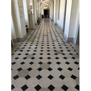 照片 法国(France) 枫丹白露(Fontainebleau) 2019-04 464
