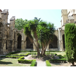 照片 法国(France) 纳博讷(Narbonne) 2009-07 118