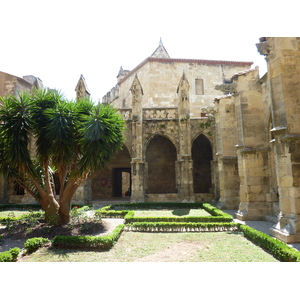 照片 法国(France) 纳博讷(Narbonne) 2009-07 137