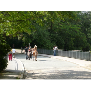 照片 法国(France) 巴黎(Paris) 肖蒙山丘公园(Parc des Buttes Chaumont) 2007-08 73