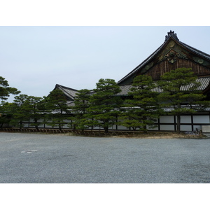 照片 日本(Japan) 京都(Kyoto) 二条城(Nijo Castle) 2010-06 98