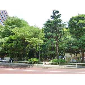 照片 日本(Japan) 东京(Tokyo) 芝公园(Shiba Park) 2010-06 65
