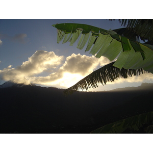 照片 波利尼西亚(Polynesia) 马克萨斯群岛(Marquises) 2006-04 39