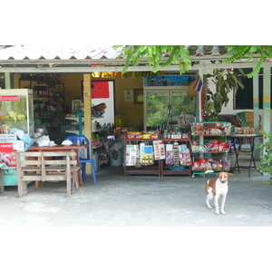 照片 泰国(Thailand) 宗甸(Jomtien) 汶甘乍纳4巷(Boonkanjana soi 4) 2008-01 29