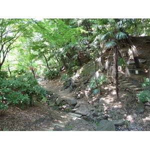 照片 日本(Japan) 东京(Tokyo) 芝公园(Shiba Park) 2010-06 1