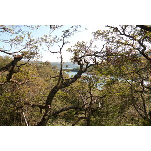 照片 英国(United Kingdom) 苏格兰(Scotland) 萨伦(Salen) 2011-07 26