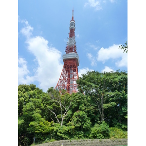 照片 日本(Japan) 东京(Tokyo) 芝公园(Shiba Park) 2010-06 8