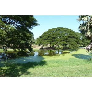 照片 泰国(Thailand) 素可泰(Sukhothai) 2010-12 142