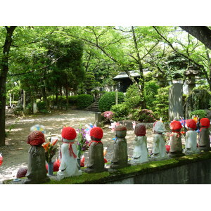 照片 日本(Japan) 东京(Tokyo) 芝公园(Shiba Park) 2010-06 13