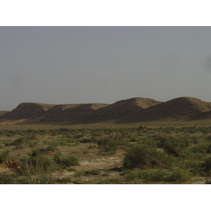 照片 阿曼(Oman) 布赖米至马哈达公路(Buraimi to Mahada road) 2005-03 38