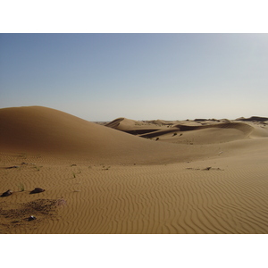 照片 阿联酋(United Arab Emirates) 迪拜至艾因公路(Dubai to Al Ain road) 2005-03 25