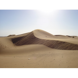 照片 阿联酋(United Arab Emirates) 迪拜至艾因公路(Dubai to Al Ain road) 2005-03 27