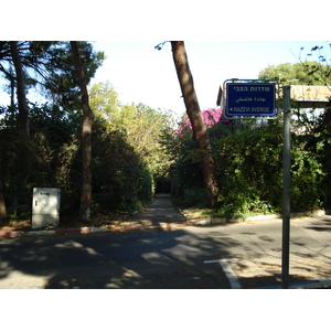 照片 以色列(Israel) 海法(Haifa) 卡梅尔(Carmel) 2006-12 29