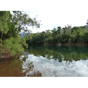 照片 新喀里多尼亚(New Caledonia) 蓝河公园(Parc de la Riviere Bleue) 2010-05 147
