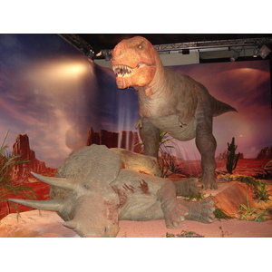 照片 法国(France) 巴黎(Paris) 发现宫(Palace of Discovery) 2006-04 46