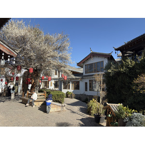 照片 中国(China) 丽江(Lijiang) 2026-01 564