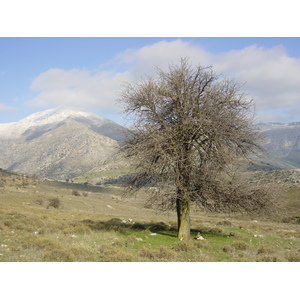 照片 希腊(Greece) 纳夫普利翁(Nafplio) 2003-12 5