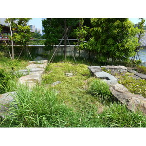 照片 日本(Japan) 东京(Tokyo) 芝公园(Shiba Park) 2010-06 3