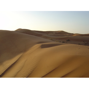 照片 阿联酋(United Arab Emirates) 艾因(Al Ain) 沙漠(Desert) 2005-11 5