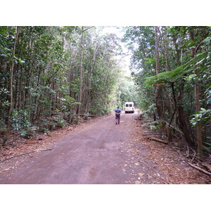 照片 新喀里多尼亚(New Caledonia) 蓝河公园(Parc de la Riviere Bleue) 2010-05 1