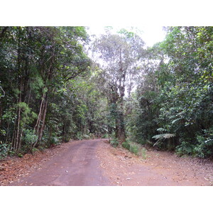 照片 新喀里多尼亚(New Caledonia) 蓝河公园(Parc de la Riviere Bleue) 2010-05 5