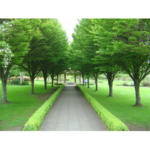 照片 爱尔兰(Ireland) 利默里克郡(Limerick County) 阿代尔(Adare) 2004-05 28