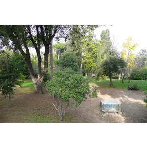 照片 意大利(Italy) 罗马(Rome) 夏拉别墅公园(Villa Sciarra) 2007-11 55