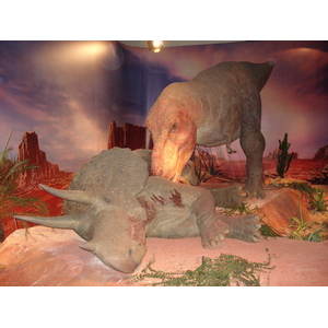 照片 法国(France) 巴黎(Paris) 发现宫(Palace of Discovery) 2006-04 13