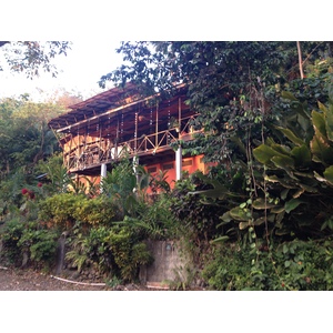 照片 哥斯达黎加(Costa Rica) 曼努埃尔安东尼奥(Manuel Antonio) 2015-03 463