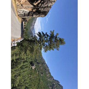 照片 法国(France) 科西嘉岛(Corsica) 雷斯托尼卡山谷(La Restonica) 2020-07 4