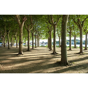 照片 法国(France) 利布尔讷(Libourne) 2010-08 15