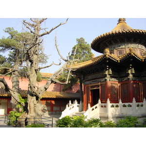 照片 中国(China) 北京(Beijing) 紫禁城(Forbidden City) 2002-05 52