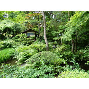 照片 日本(Japan) 东京(Tokyo) 根津美术馆(Nezu Museum) 2010-06 28
