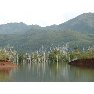 照片 新喀里多尼亚(New Caledonia) 蓝河公园(Parc de la Riviere Bleue) 2010-05 3