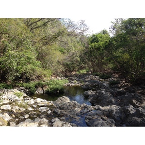 照片 哥斯达黎加(Costa Rica) 蒙特苏马(Montezuma) 2015-03 450