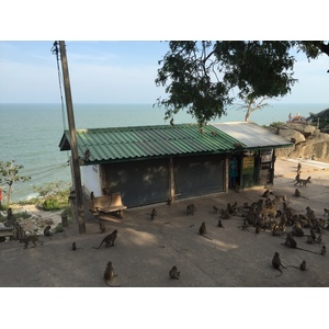 照片 泰国(Thailand) 华欣(Hua hin) 2016-01 12