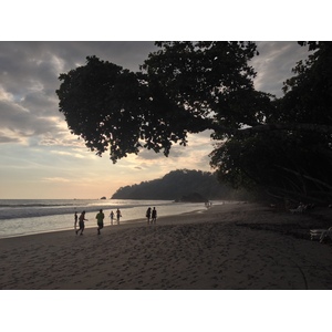 照片 哥斯达黎加(Costa Rica) 曼努埃尔安东尼奥(Manuel Antonio) 2015-03 426
