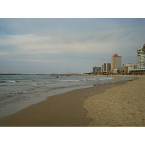 照片 以色列(Israel) 特拉维夫(Tel Aviv) 特拉维夫海岸(Tel Aviv Sea Shore) 2006-12 109