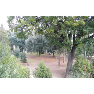照片 意大利(Italy) 罗马(Rome) 夏拉别墅公园(Villa Sciarra) 2007-11 8