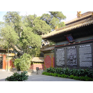照片 中国(China) 北京(Beijing) 紫禁城(Forbidden City) 2002-05 124