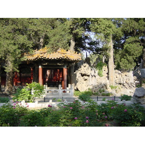 照片 中国(China) 北京(Beijing) 紫禁城(Forbidden City) 2002-05 105