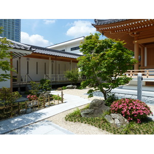 照片 日本(Japan) 东京(Tokyo) 芝公园(Shiba Park) 2010-06 23