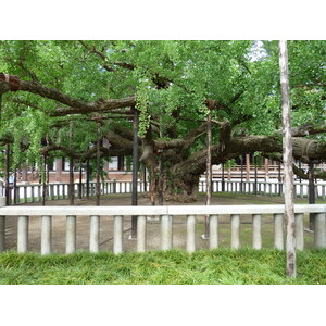 照片 日本(Japan) 京都(Kyoto) 西本愿寺(Nishi Honganji Temple) 2010-06 15