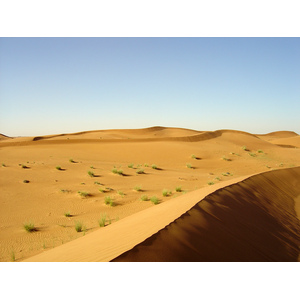 照片 阿联酋(United Arab Emirates) 迪拜至艾因公路(Dubai to Al Ain road) 2005-03 77