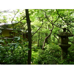 照片 日本(Japan) 东京(Tokyo) 根津美术馆(Nezu Museum) 2010-06 64